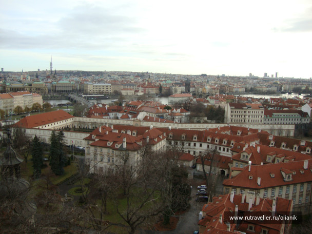 photo 255549