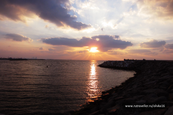 photo 240350