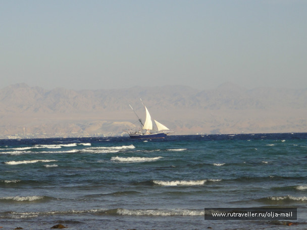photo 235957