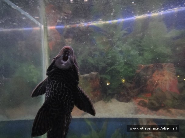 photo 235959