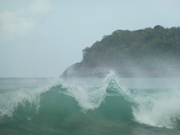 photo 237338
