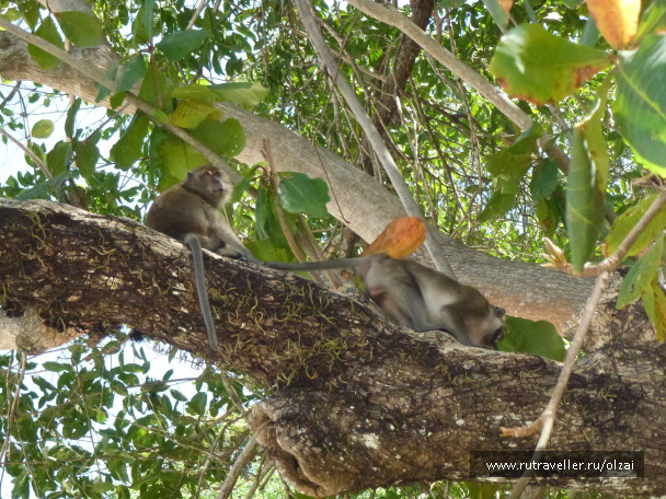 photo 681912