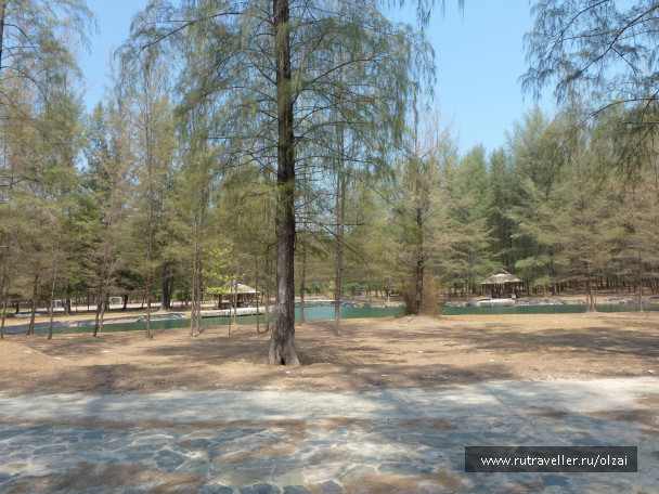 photo 681923