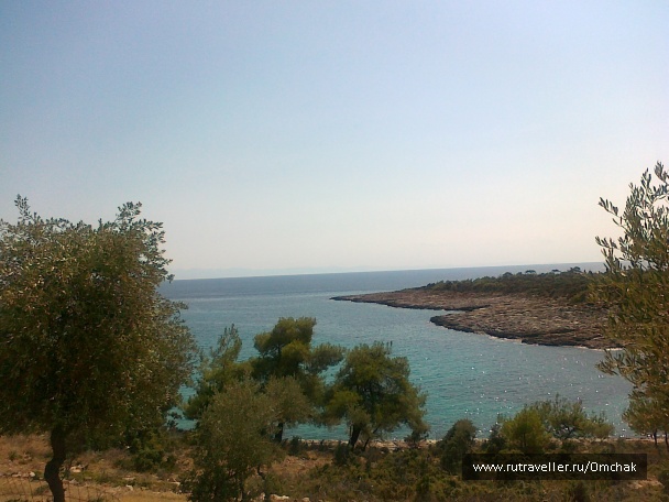 photo 1023891