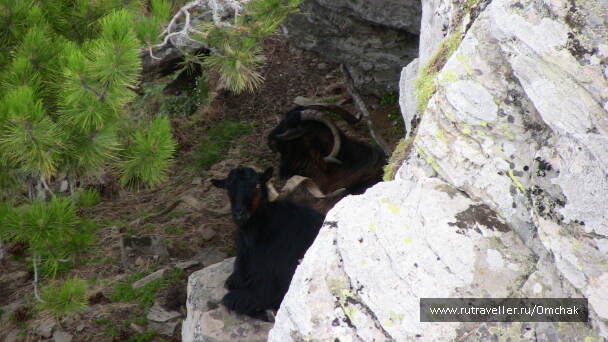 photo 1023957