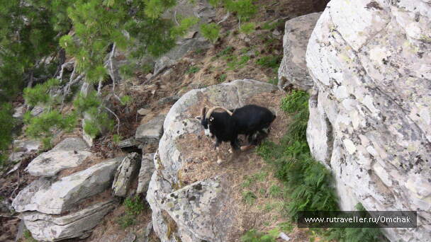 photo 1023962
