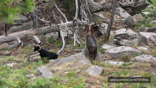 photo 1023964