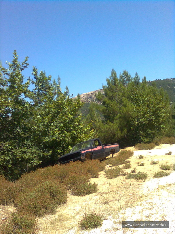 photo 1024064