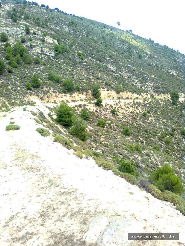 photo 1024068