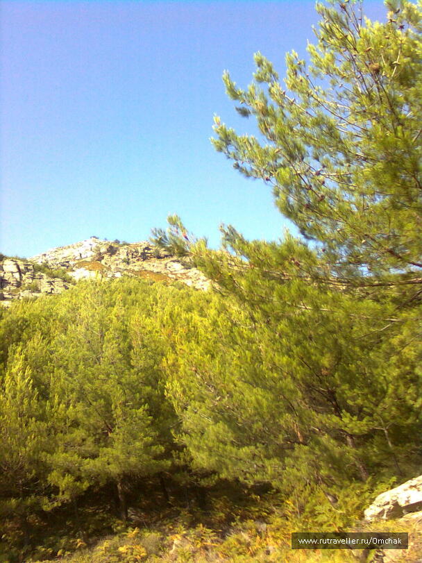photo 1024070