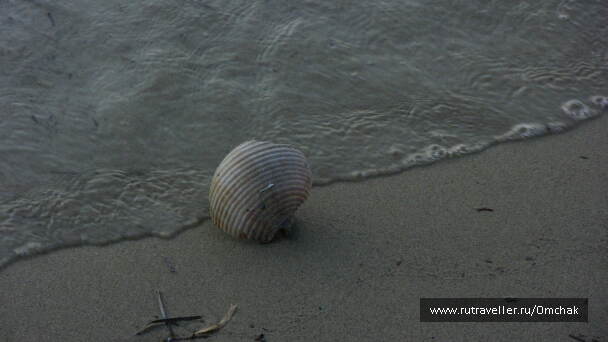photo 1024082