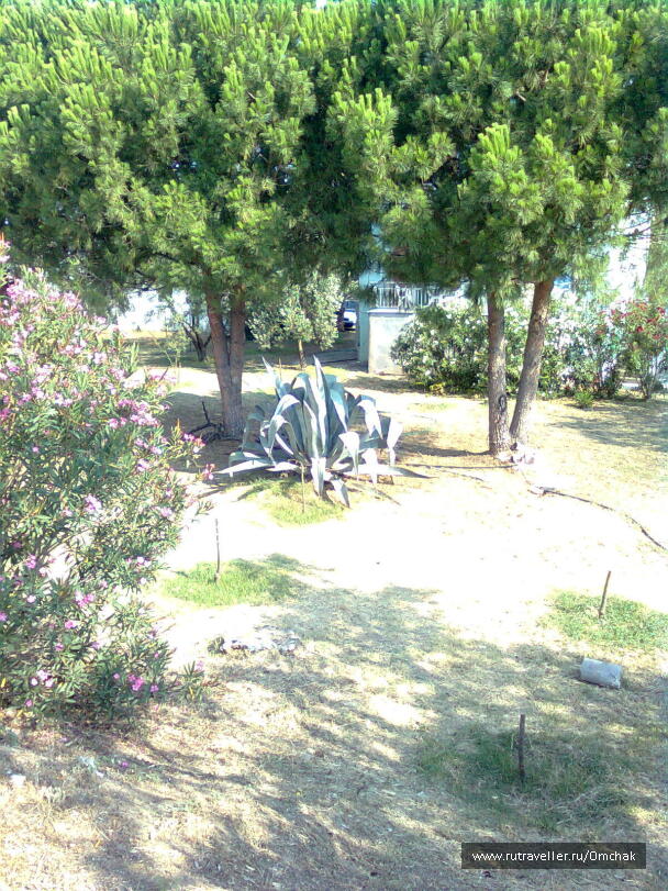 photo 1024086