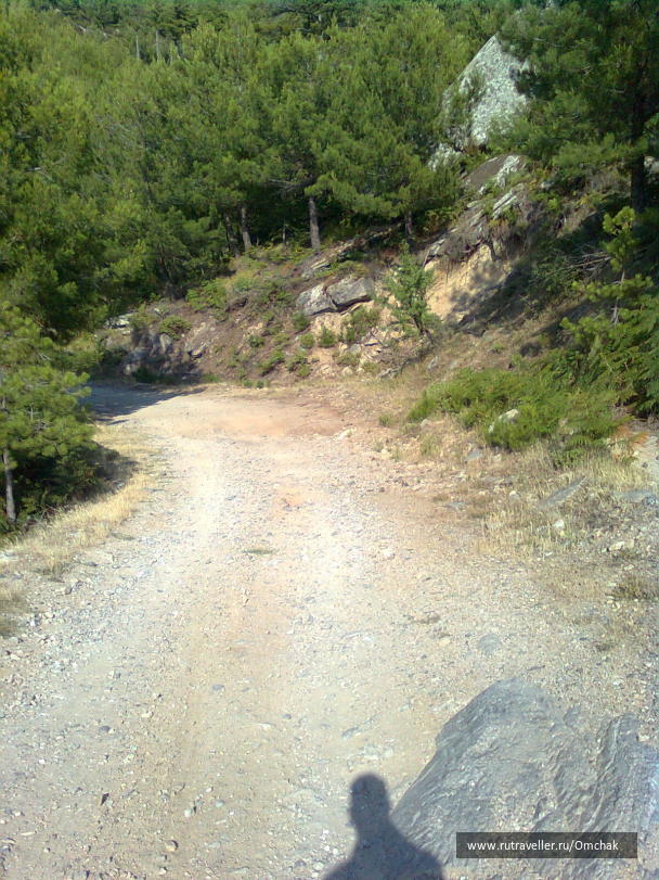 photo 1024093