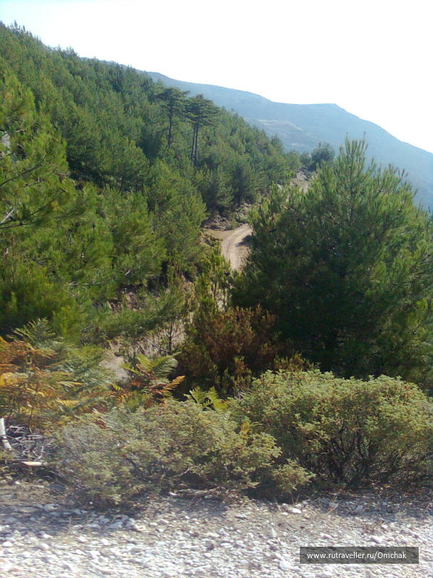 photo 1024094