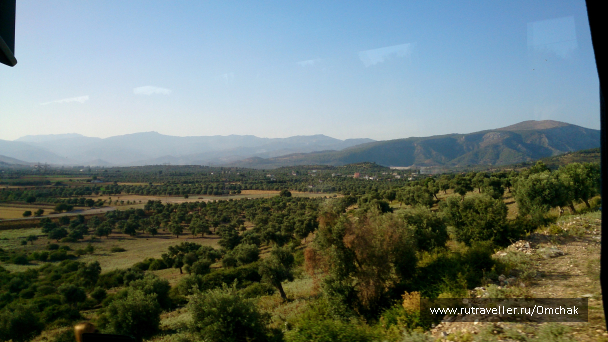 photo 1091954