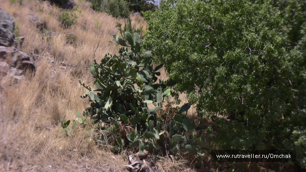 photo 1092003