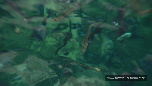 photo 1092012