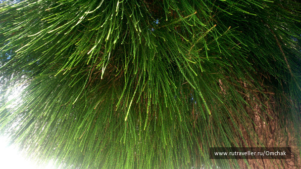 photo 1092036