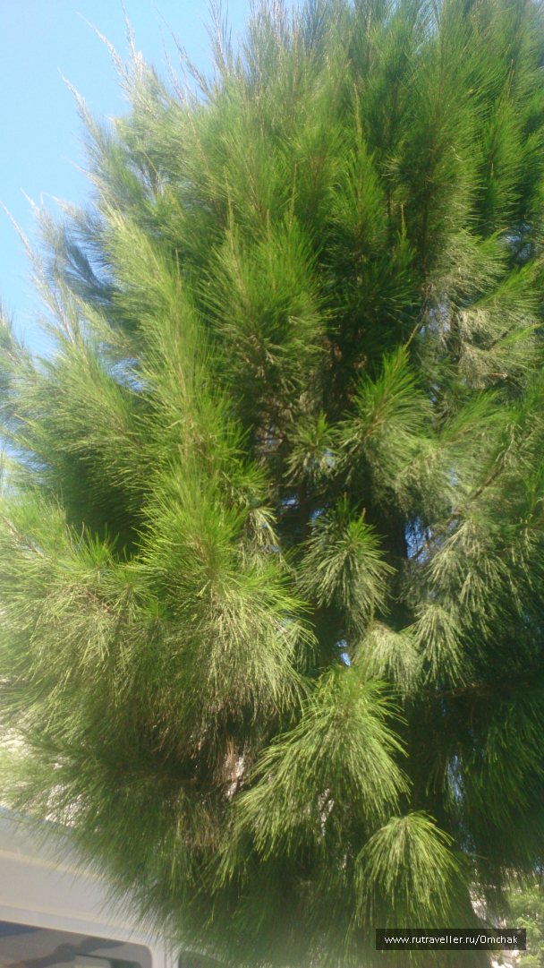 photo 1092037