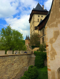 photo 1007611