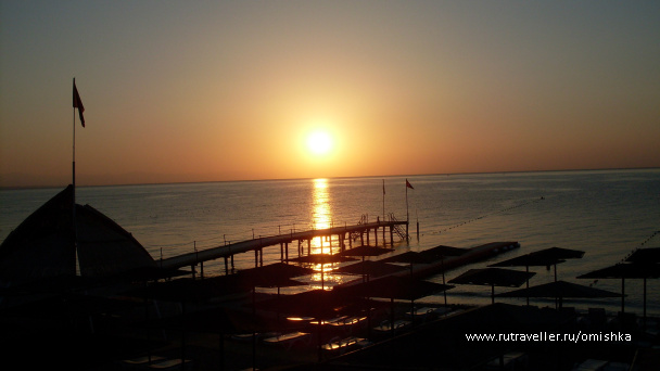 photo 167973