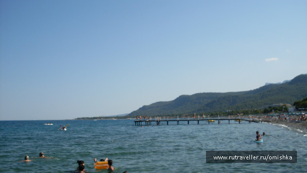 photo 167975