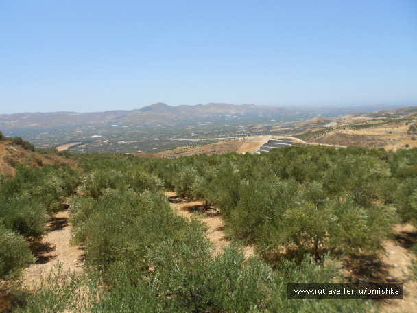 photo 433379