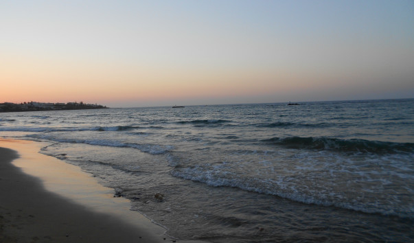 DSCN0380