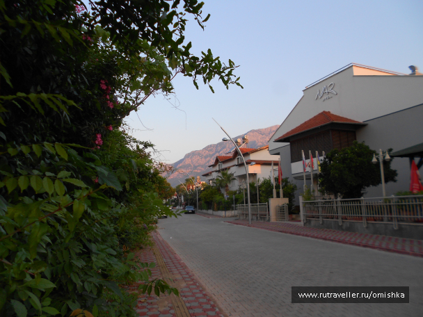 photo 1260147