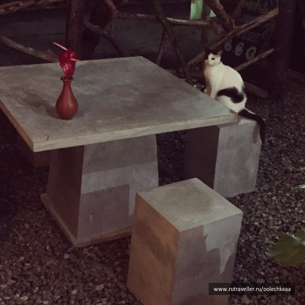 photo 1401136