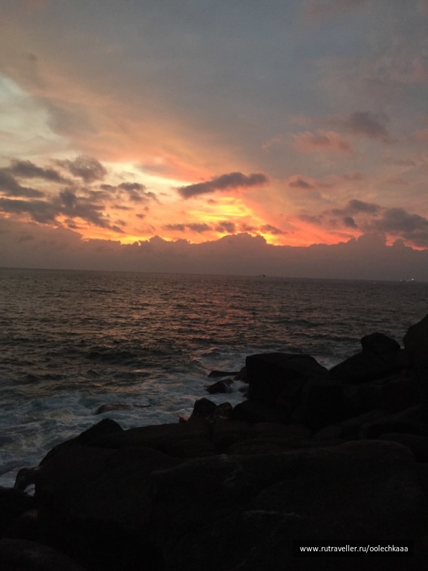photo 1401154