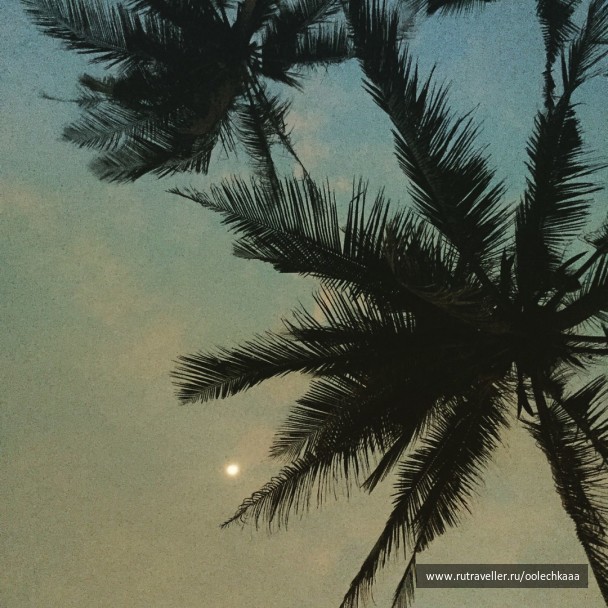 photo 1401159