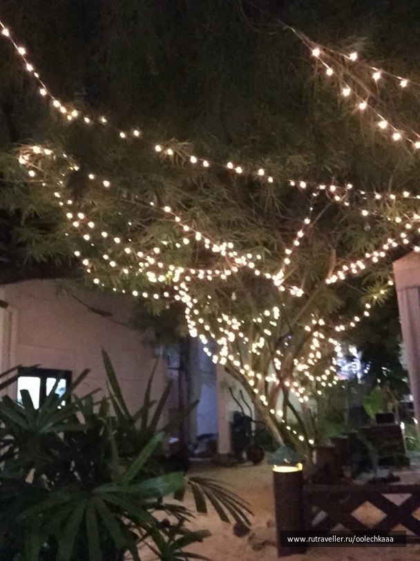 photo 1401163