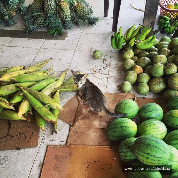 photo 1401170