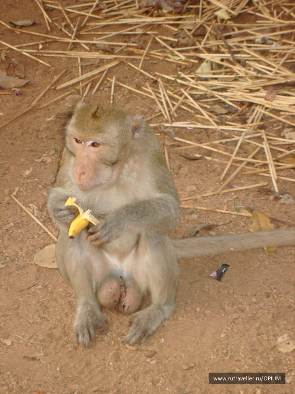 photo 24321