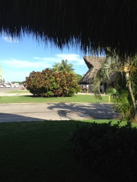photo 571887