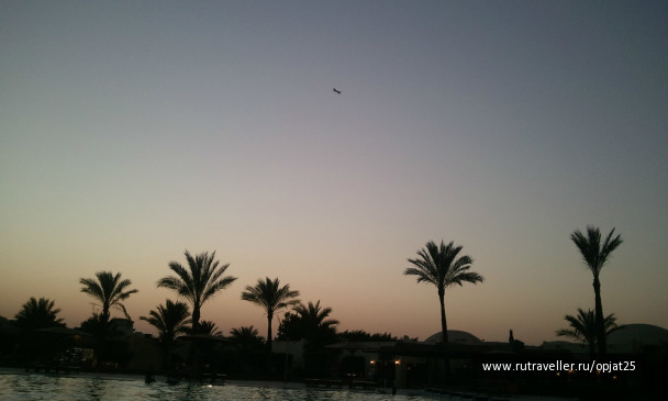 photo 532385