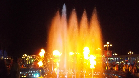 photo 477411