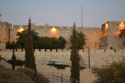 photo 479772