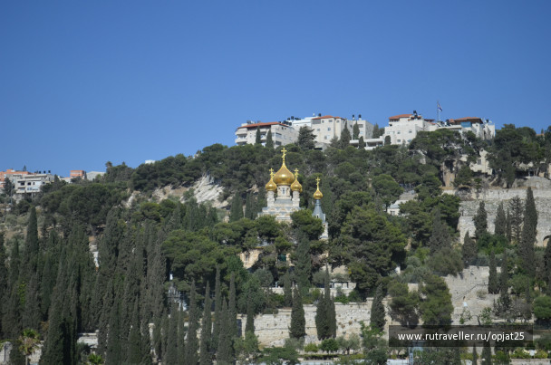 photo 479833