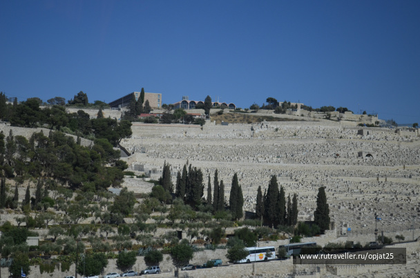 photo 479834