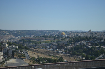 photo 479836