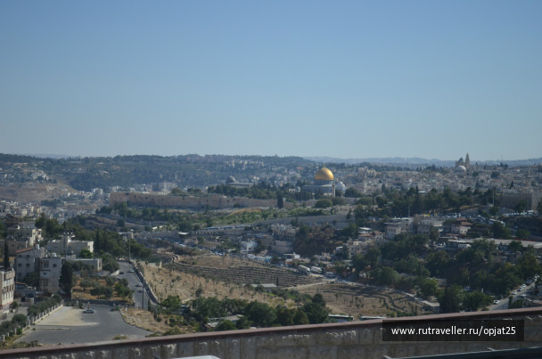photo 479836