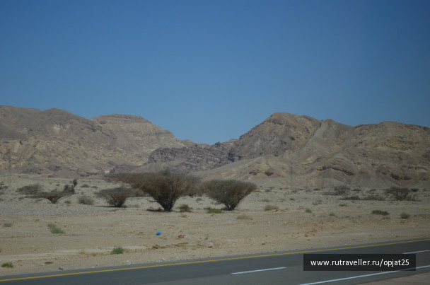 photo 479850