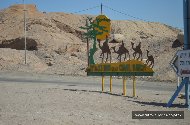 photo 479854