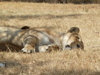 photo 914223