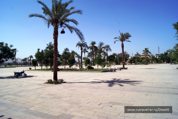 photo 248385