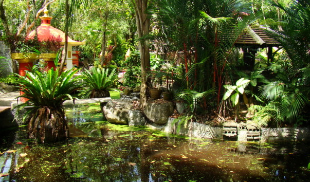DSC00779