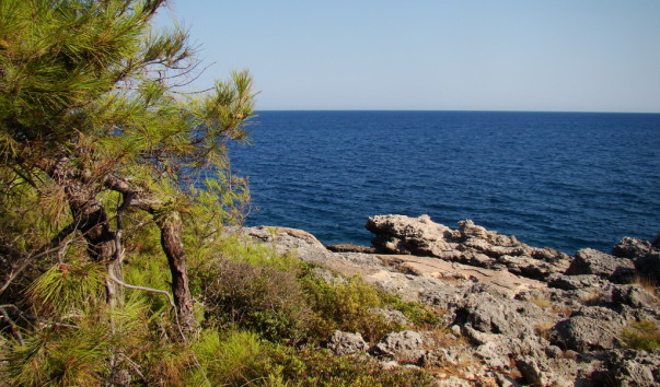 Kemer19