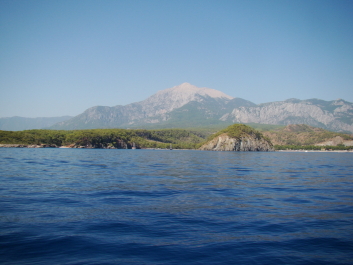 photo 187335